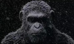 猩猩影院在线观看,在线观影新体验，畅享海量影视资源